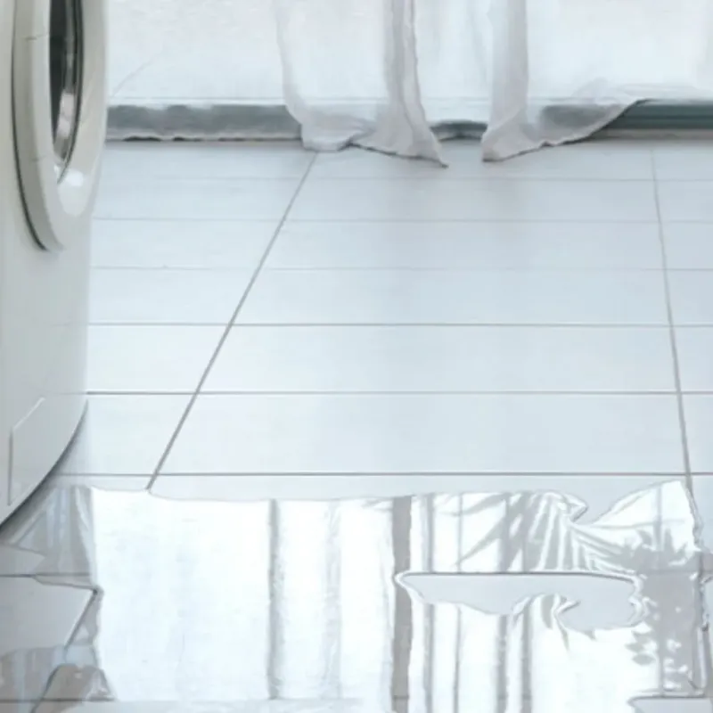 Appliance Leak Cleanup in Coldspring, TX