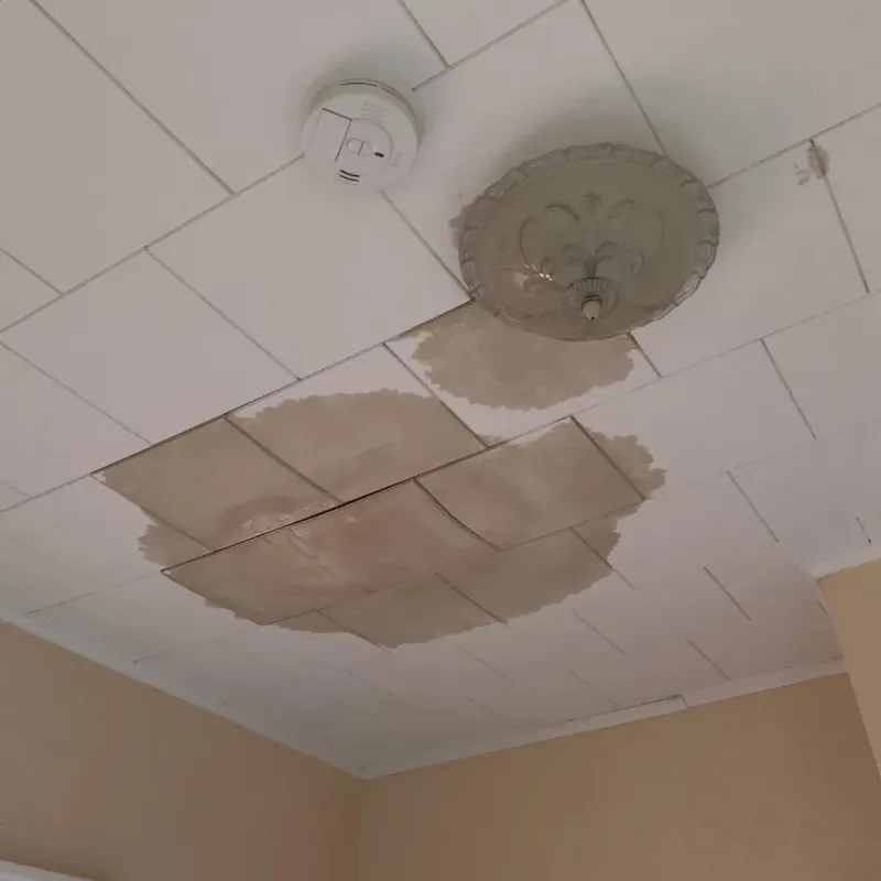 Ceiling Water Damage Repair in Coldspring, TX