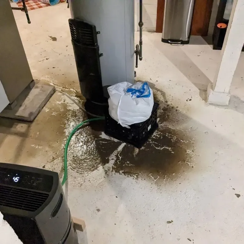 Sewage Backup Cleanup Service in Coldspring, TX
